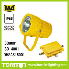 Explosion Proof Spotlight (DGS70/127B(A))